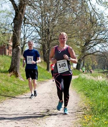 k2016 5.jpg (68030 bytes)